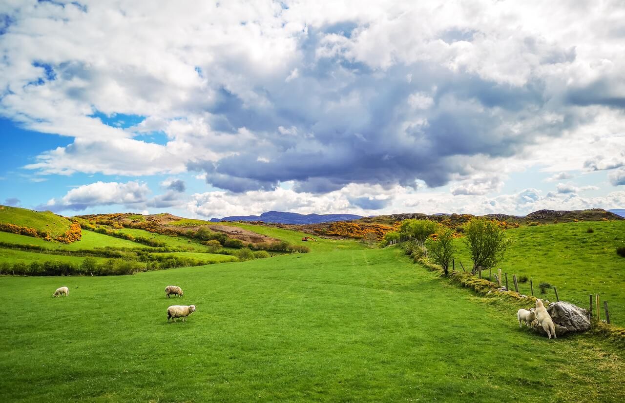 Дома для отпуска Holiday Cottages Portsalon Портсалон